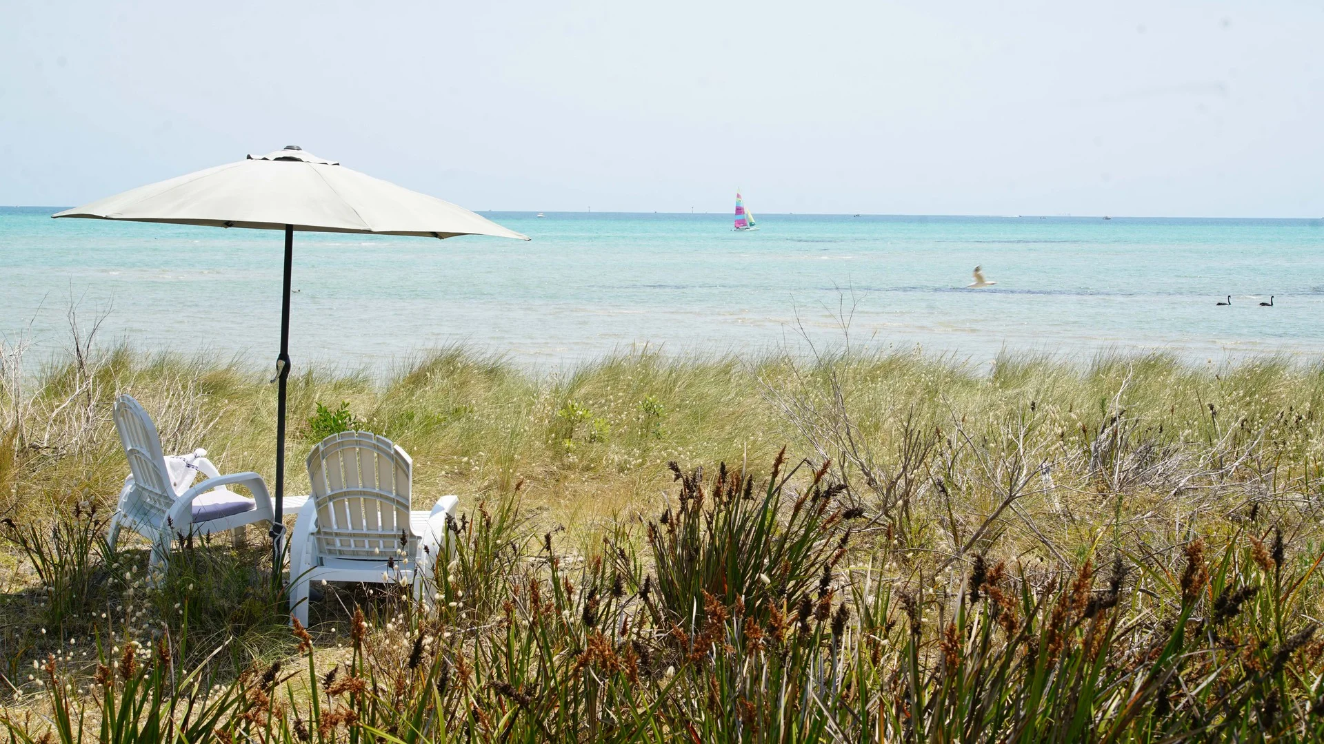 Additional image 3 of 46 Boatshed, Capel Sound VIC 3940