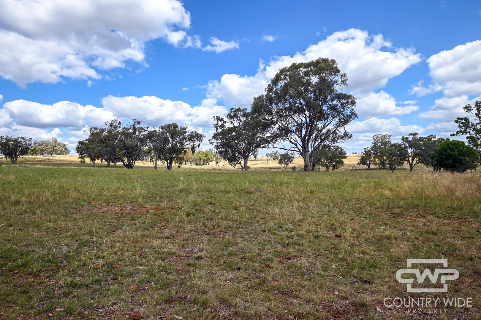 Additional image 41 of 1975 Nullamanna Road, Inverell NSW 2360