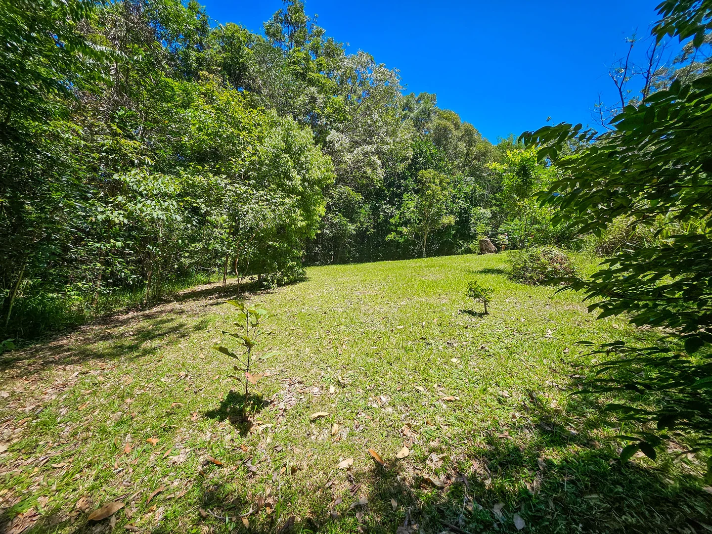Additional image 21 of 6 Byers Creek Road, Rossville QLD 4895