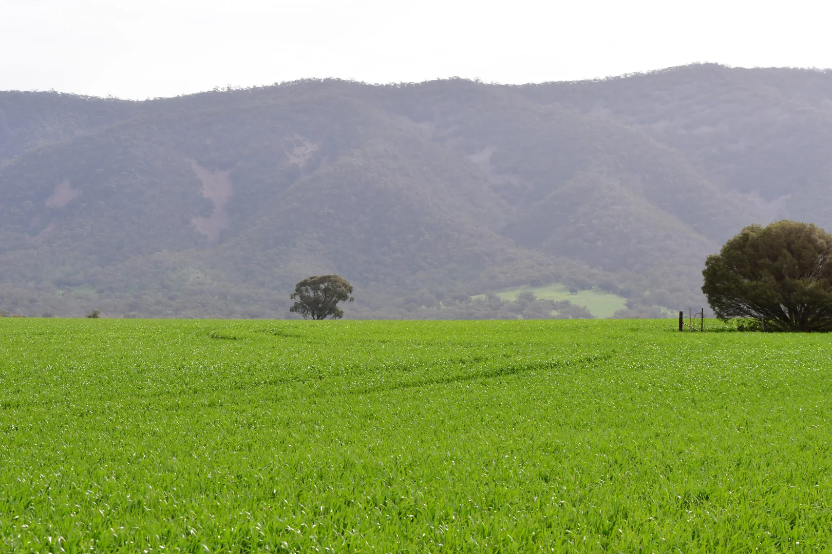 Additional image 9 of 172 Cowin Road, Melrose SA 5483