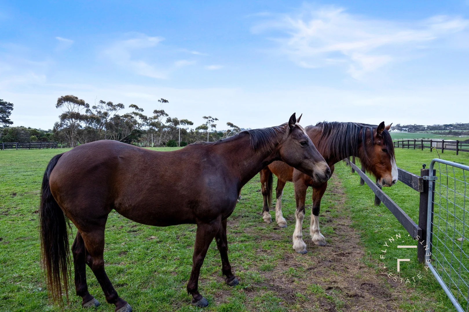 Additional image 15 of 443 Ventnor Road, Ventnor VIC 3922