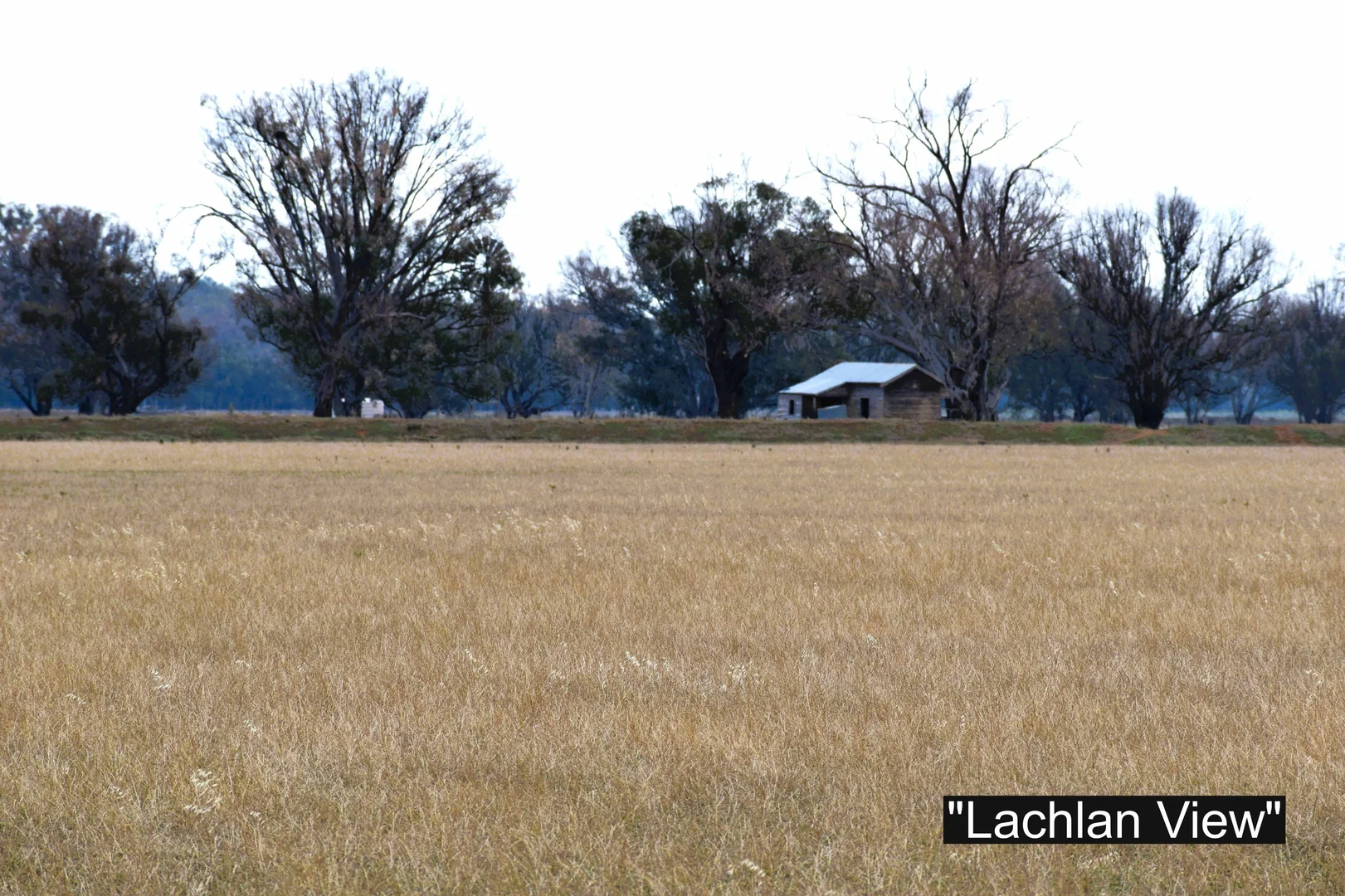 Additional image 21 of 01 Bedgerabong Road, Forbes NSW 2871