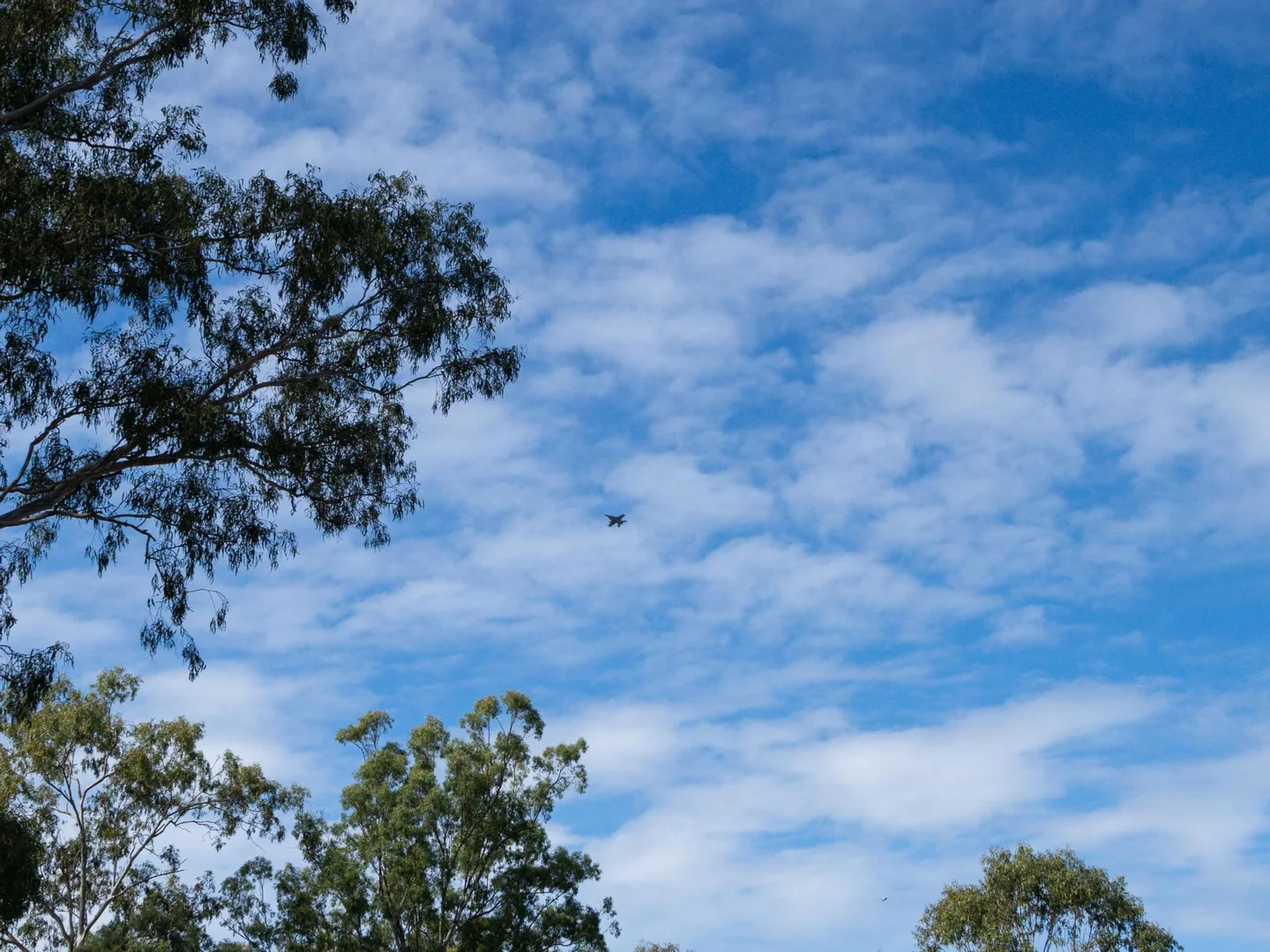 Additional image 10 of 142 Rosewood Rd, Amberley QLD 4306