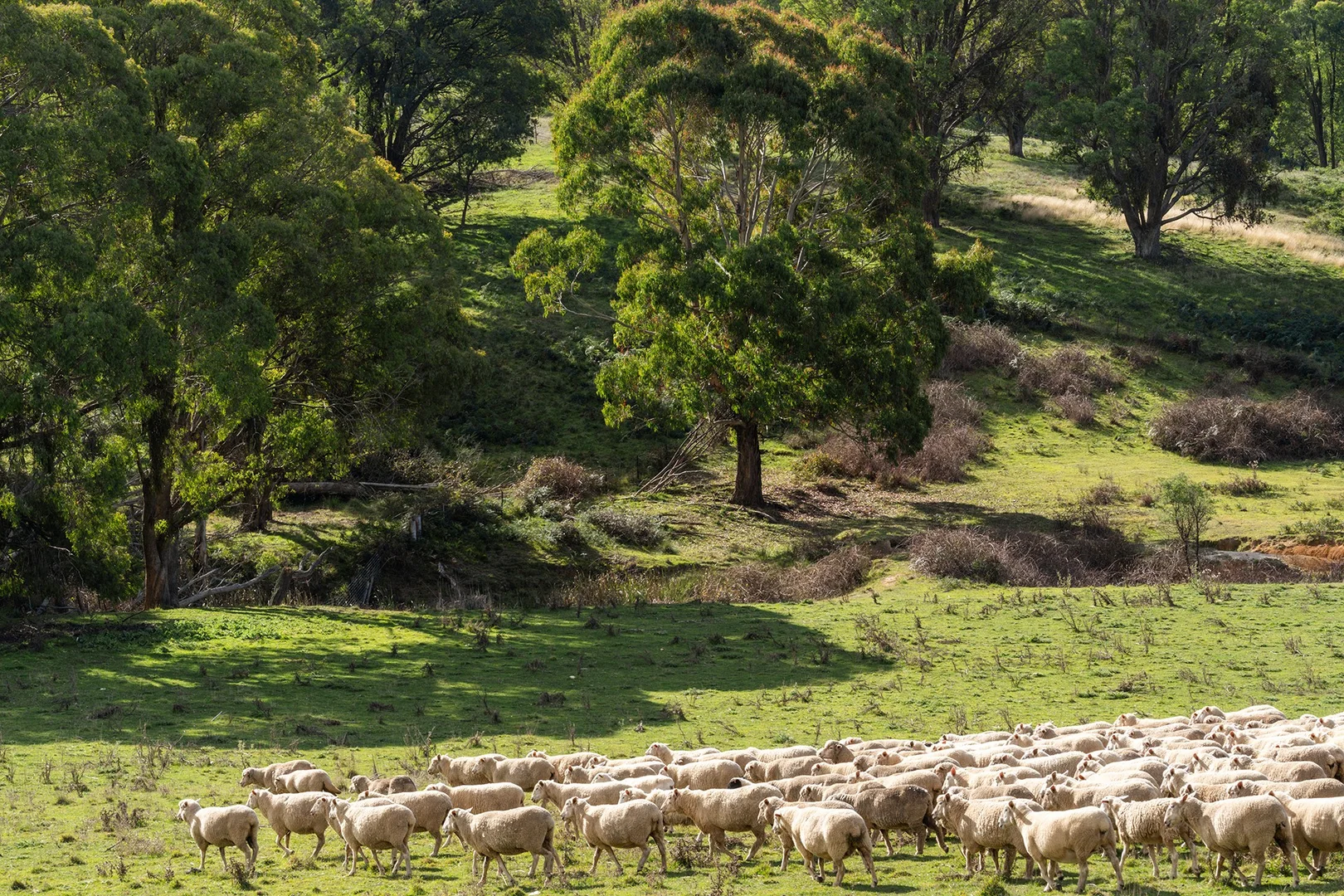 Additional image 11 of 106 Redground Heights Road, Laggan NSW 2583