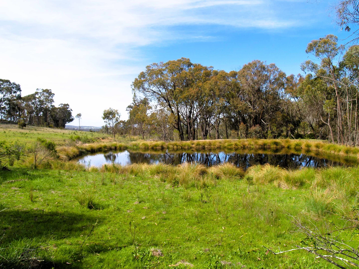 Additional image 15 of 198 Wurungul Lane, Gundaroo NSW 2620