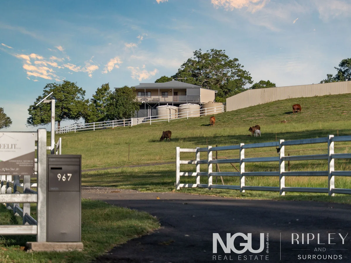 Additional image 5 of 967 Pine Mountain Road, Pine Mountain QLD 4306