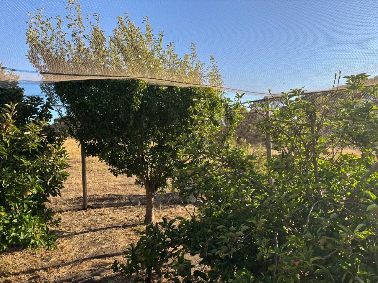 Additional image 26 of 7 Hidden Valley Lane, Boston SA 5607