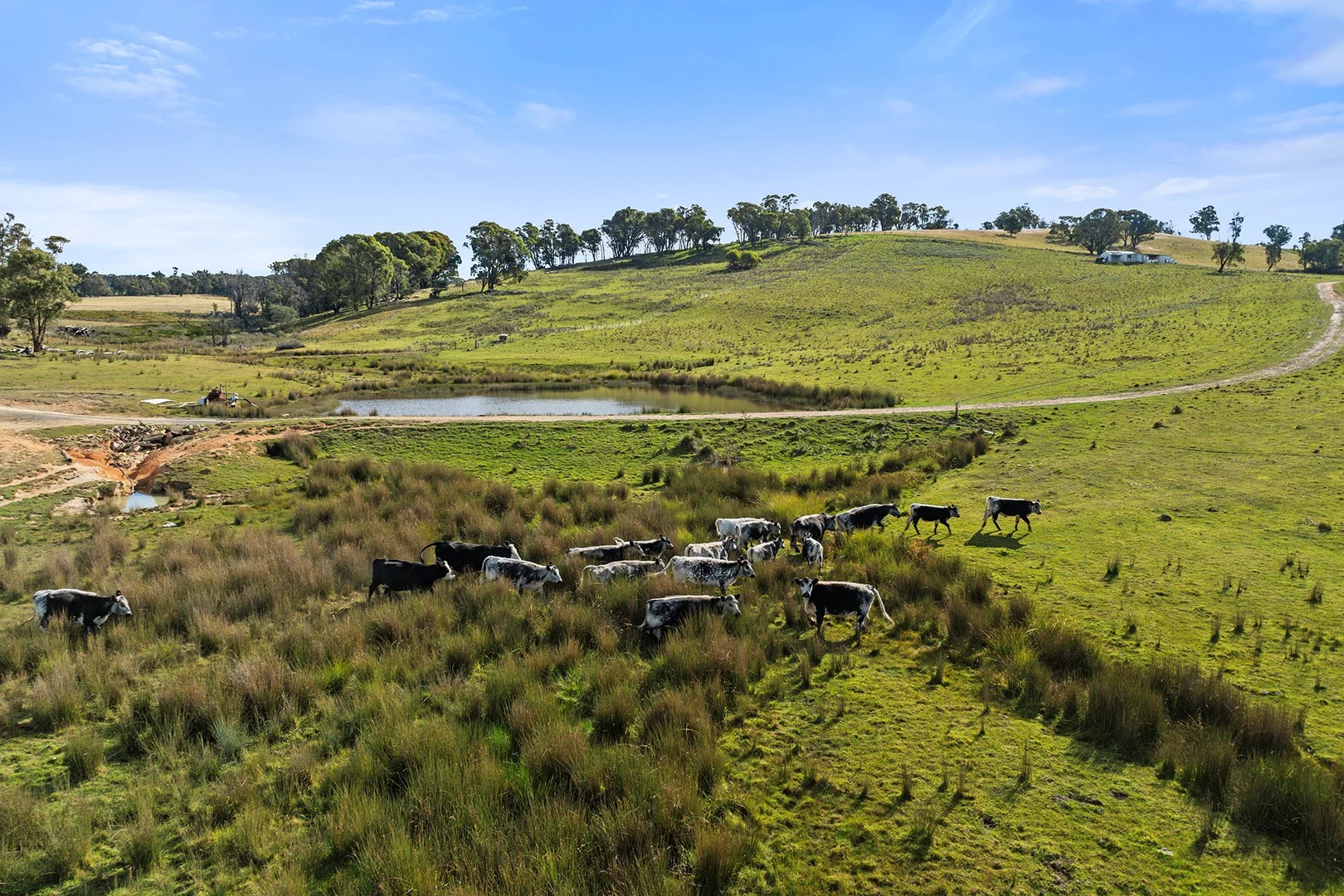 Additional image 15 of 106 Redground Heights Road, Laggan NSW 2583