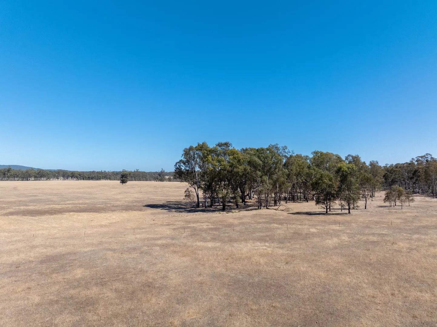 Additional image 4 of Lot/33 Delaney Road, Mitchellstown VIC 3608