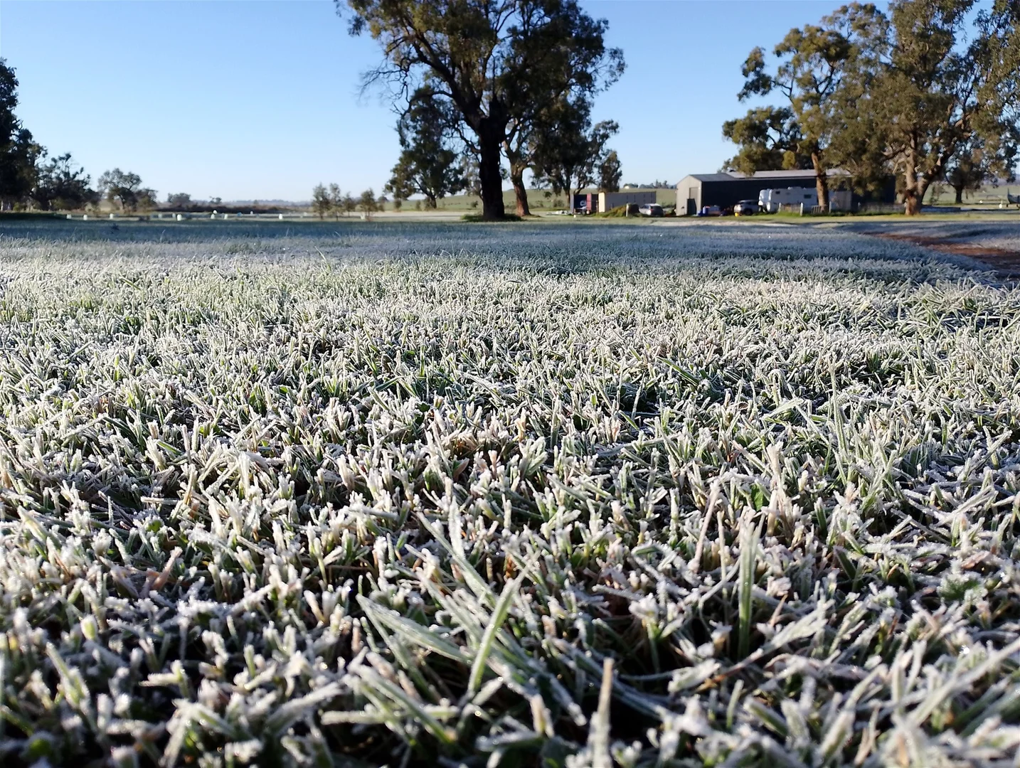 Additional image 6 of 14317 Golden Highway, Dunedoo NSW 2844