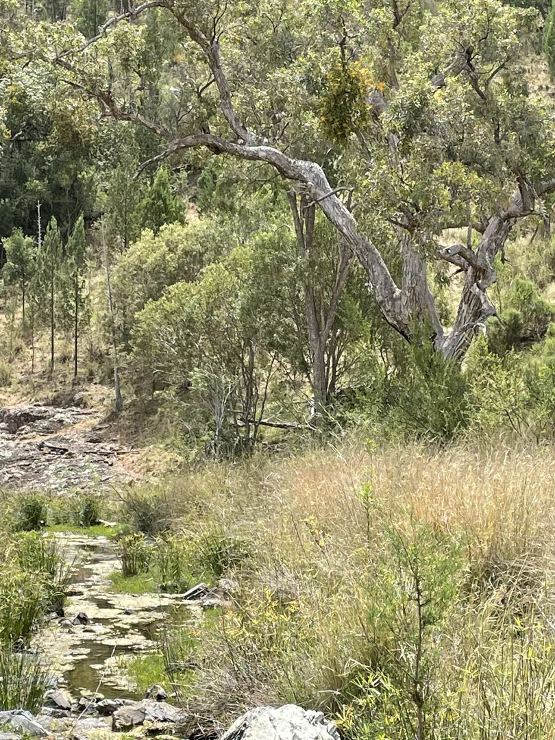 Additional image 26 of Lot 9 Silver Spur Redgate Road, Silver Spur QLD 4385