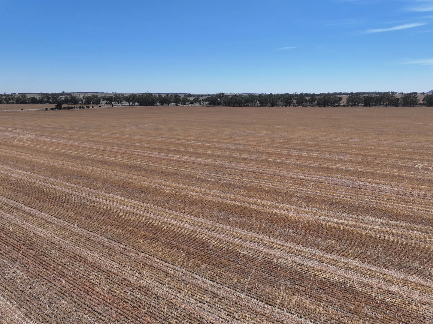 Additional image 3 of 'Nolens'  5000 Barellan Road, Colinroobie NSW 2700