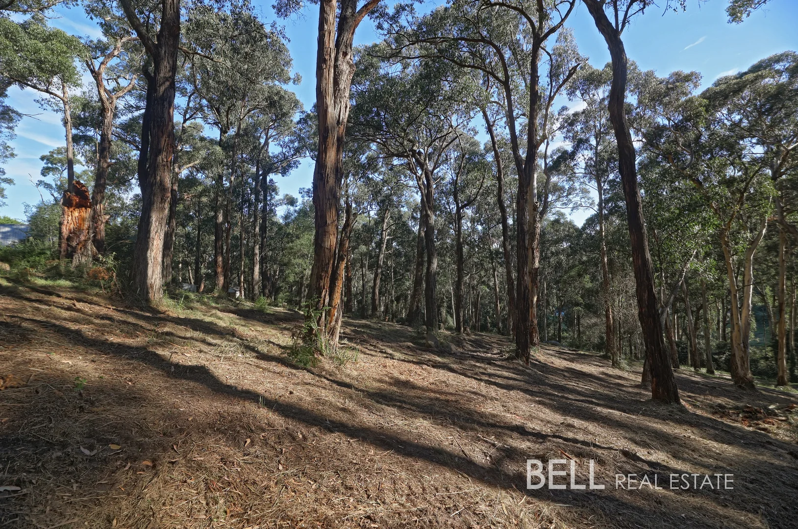 Additional image 4 of 33 Selby Aura Road, Menzies Creek VIC 3159