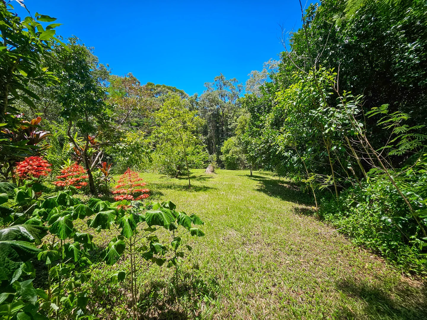 Additional image 4 of 6 Byers Creek Road, Rossville QLD 4895