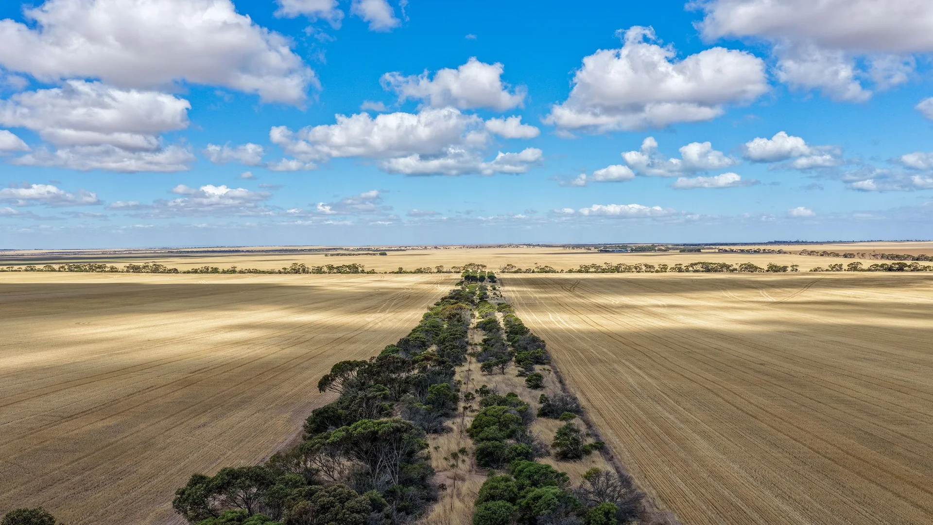Additional image 5 of Proposed Lot 2/313 Pridham Road, Kainton SA 5552