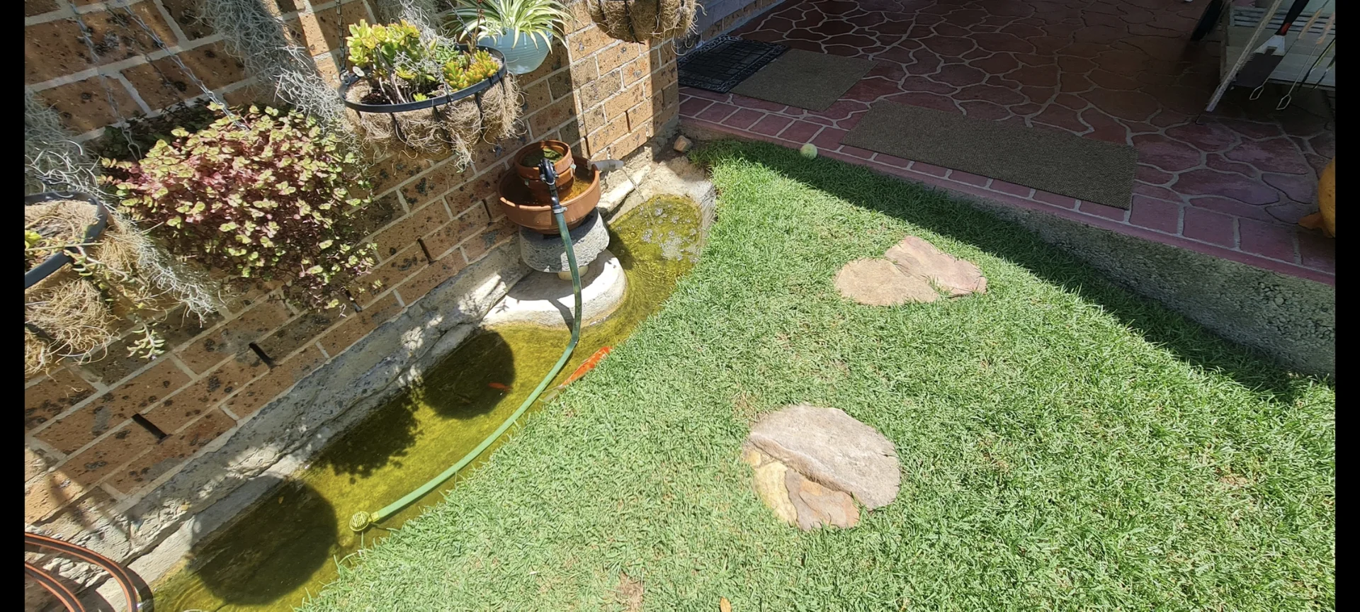 Additional image 19 of 12 Masiku Place, Glendenning NSW 2761