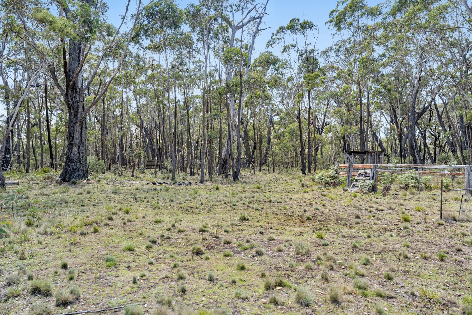 Additional image 12 of 275 Mares Forest Road, Wombeyan Caves NSW 2580