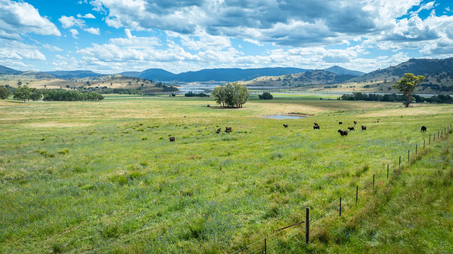 Additional image 5 of 4118 Murray River Road, Thologolong VIC 3691