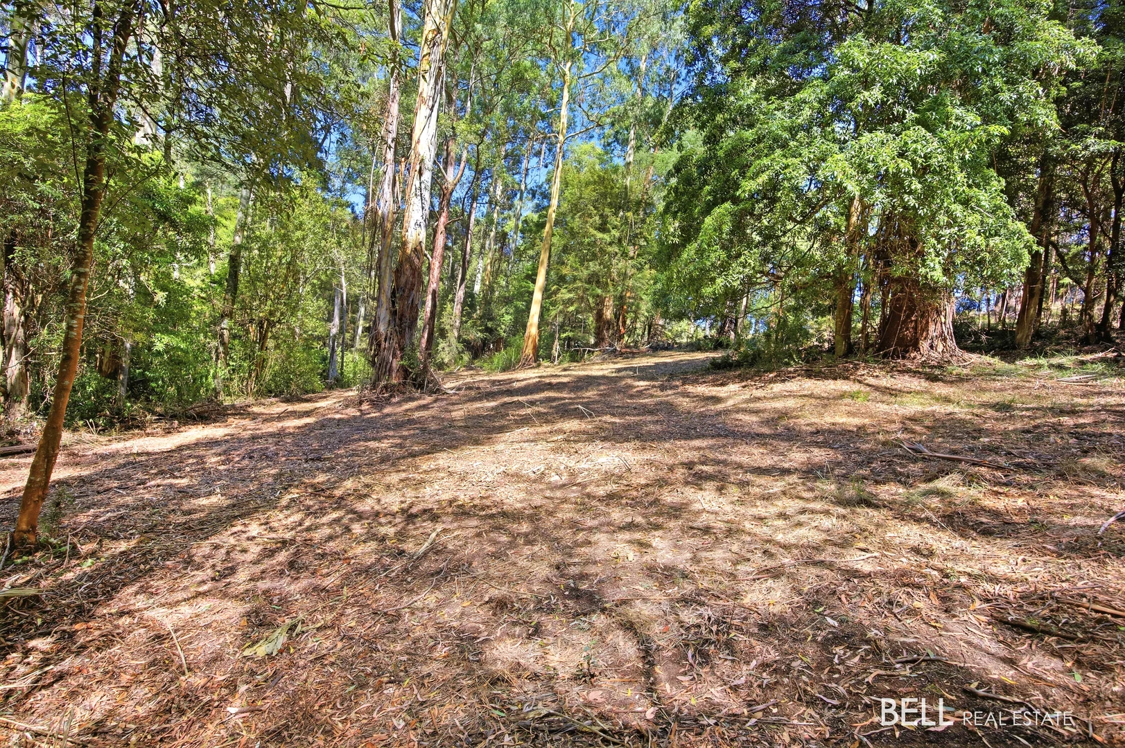 Additional image 4 of 5 Story Road, Warburton VIC 3799