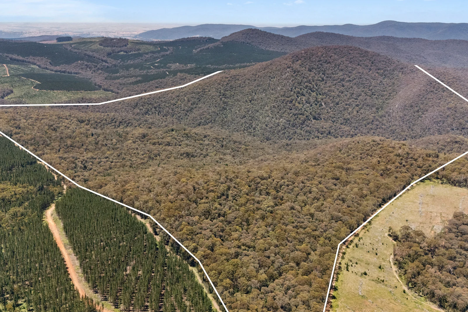 Additional image 28 of 321 Log Bridge Creek Road, Wee Jasper NSW 2582