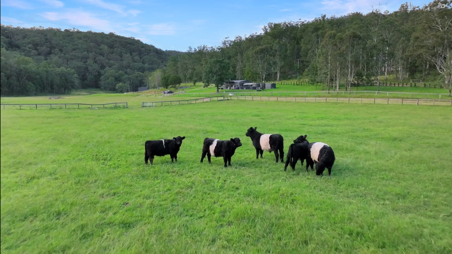 Additional image 11 of 61 Narone Creek Rd, Wollombi NSW 2325