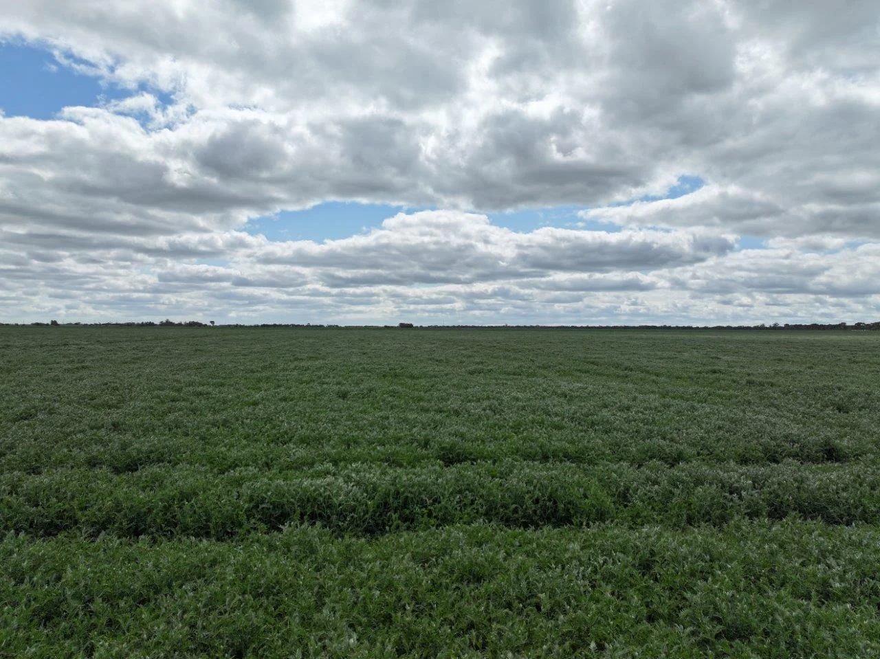 Additional image 27 of - Oneil Street, Pyramid Hill VIC 3575