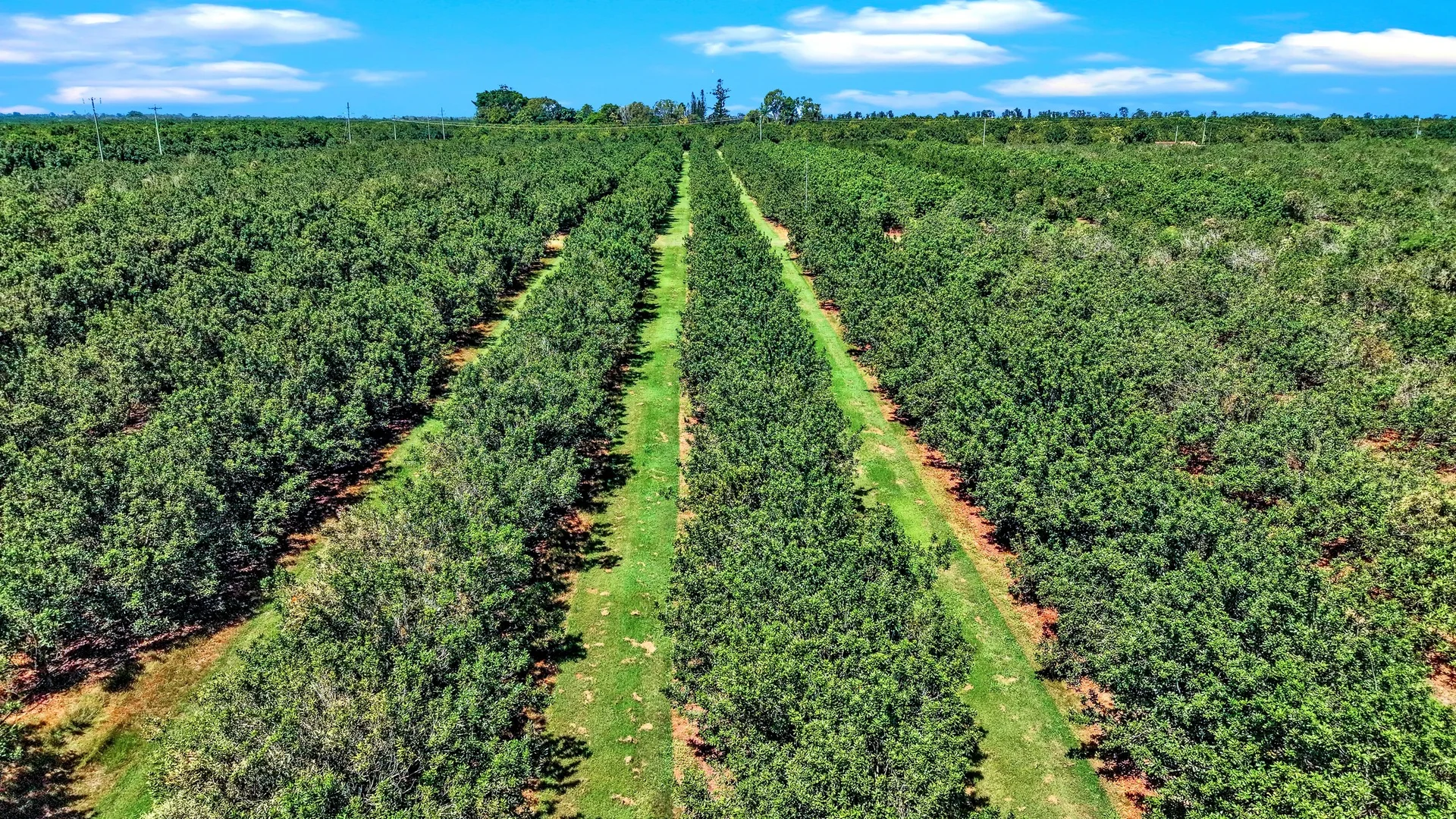 Additional image 7 of 195 Pashleys Road, Welcome Creek QLD 4670