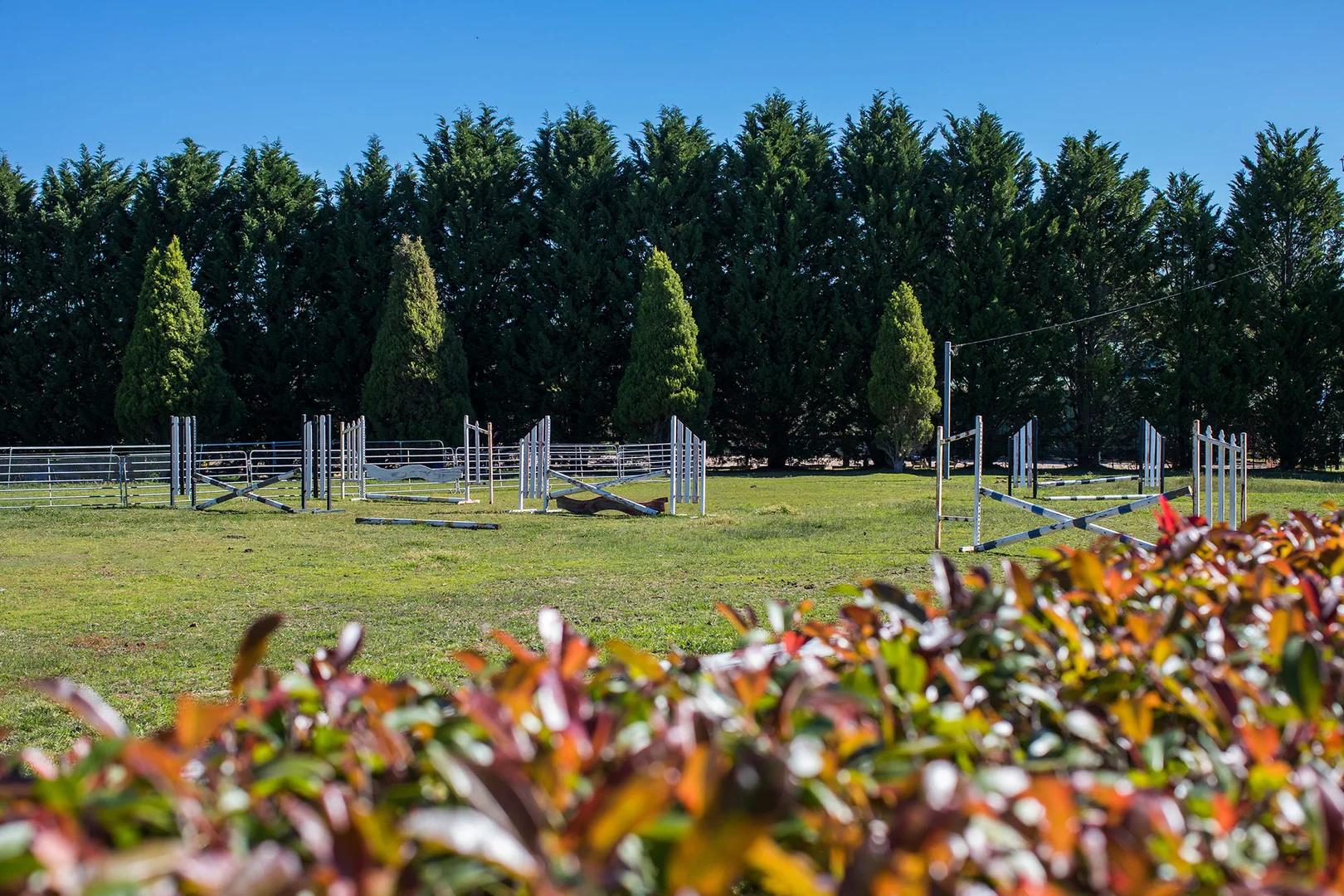 Additional image 22 of 865 Joadja Road, Joadja NSW 2575