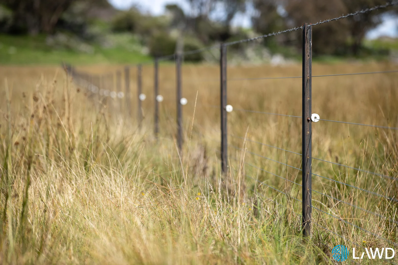 Additional image 26 of Alora-Mia Kellys Road, Armidale NSW 2350