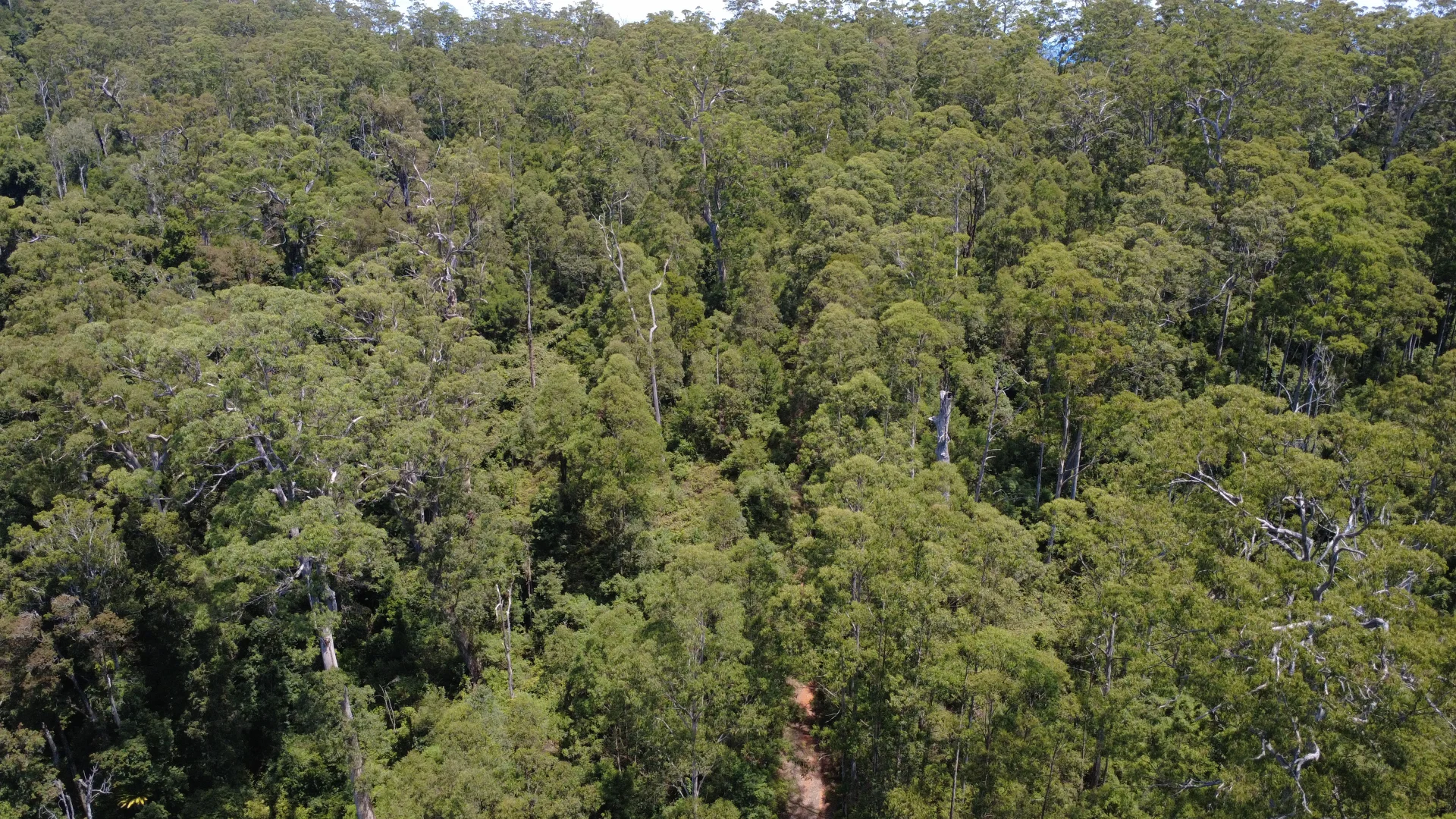Additional image 23 of Baxters Ridge Road, Gloucester NSW 2422