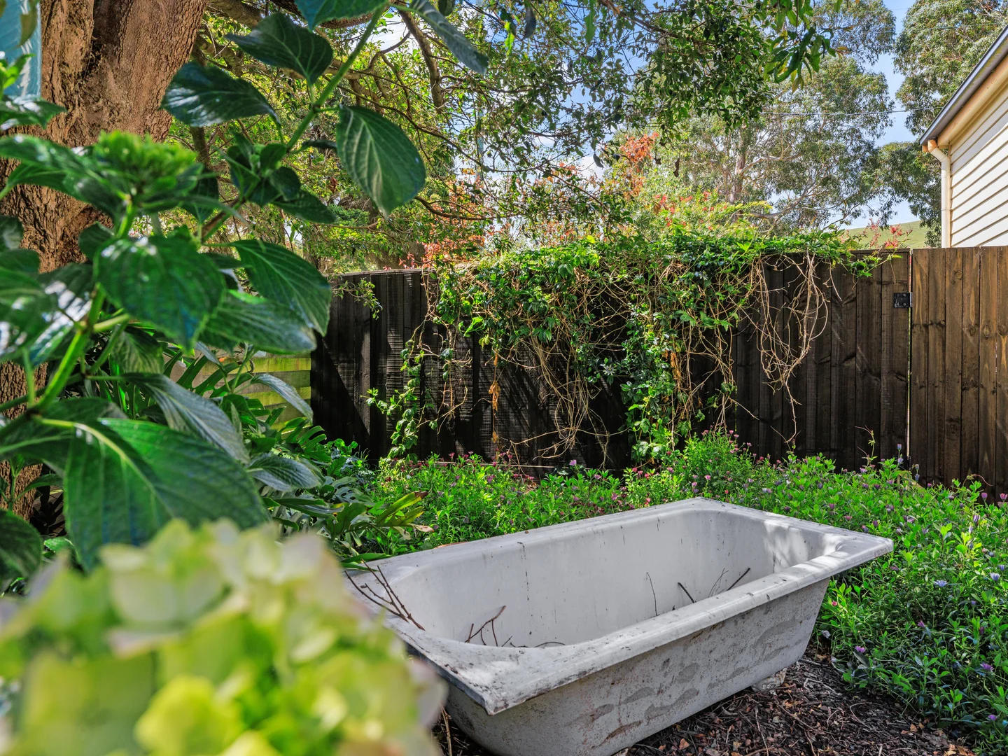 Additional image 19 of 14 Welshpool Rd, Toora VIC 3962