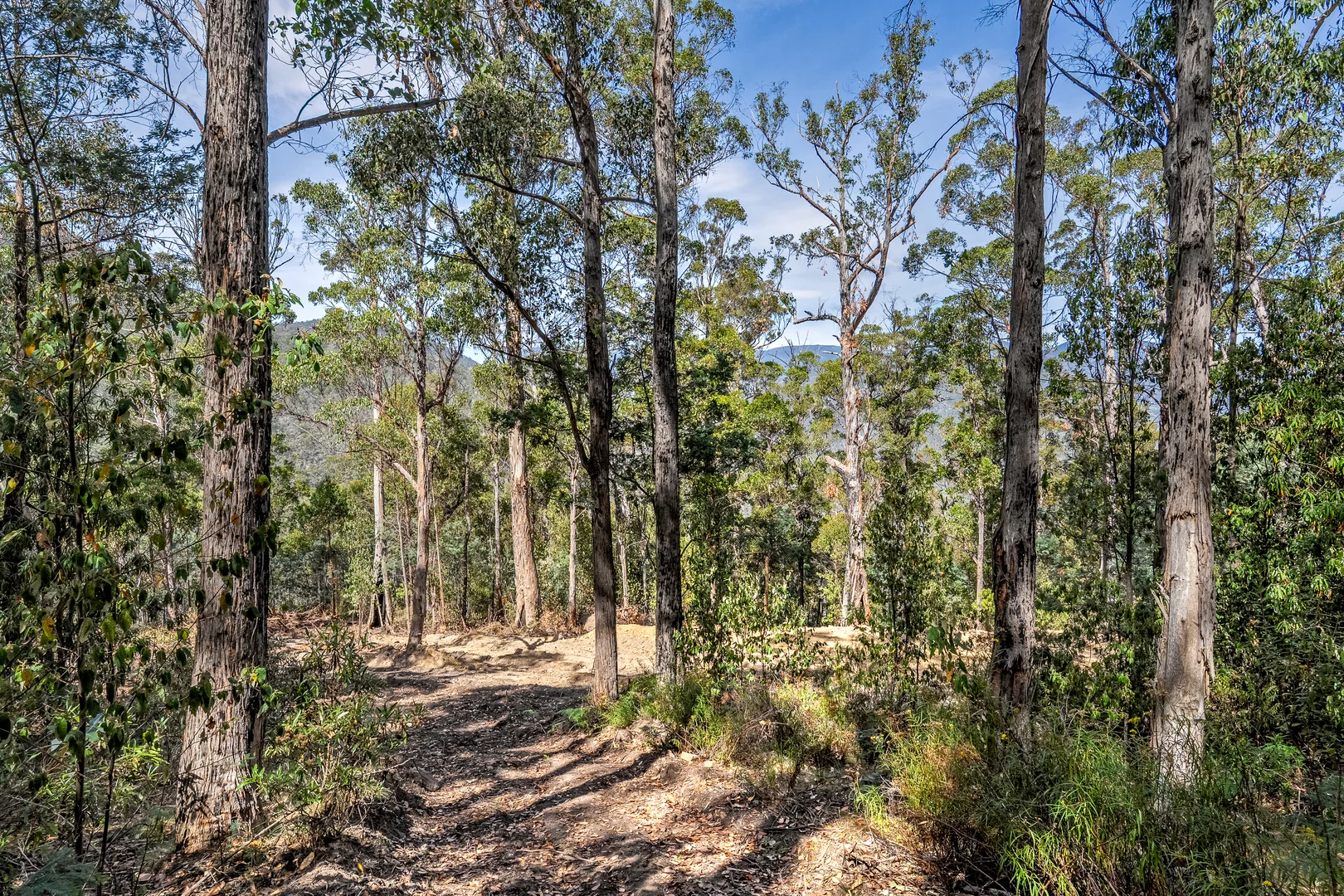 Additional image 36 of 1 Douglas Road, Molesworth TAS 7140