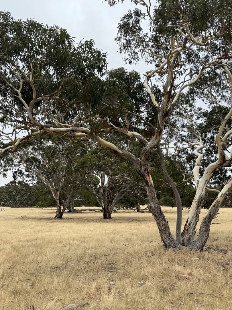 Additional image 10 of 490 East West Two Highway, Seddon SA 5223