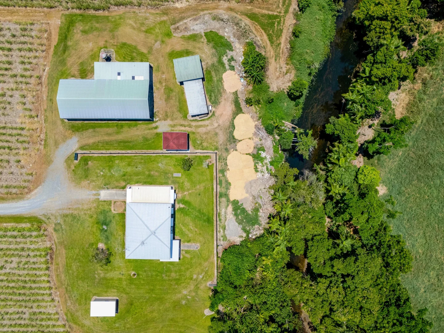 Additional image 11 of 23 D'Addona Road, Miallo QLD 4873