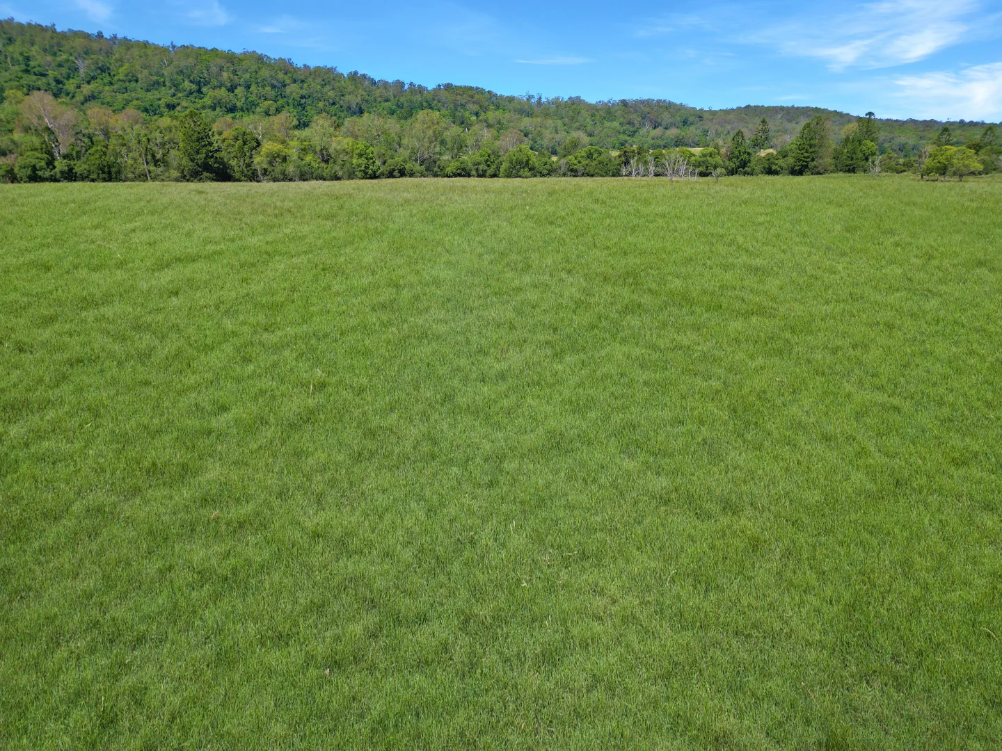 Additional image 14 of 504 Jiggi Road, Jiggi NSW 2480