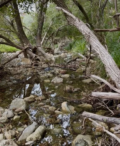 Additional image 30 of 34 Pinnacle Drive, Wongawallan QLD 4210