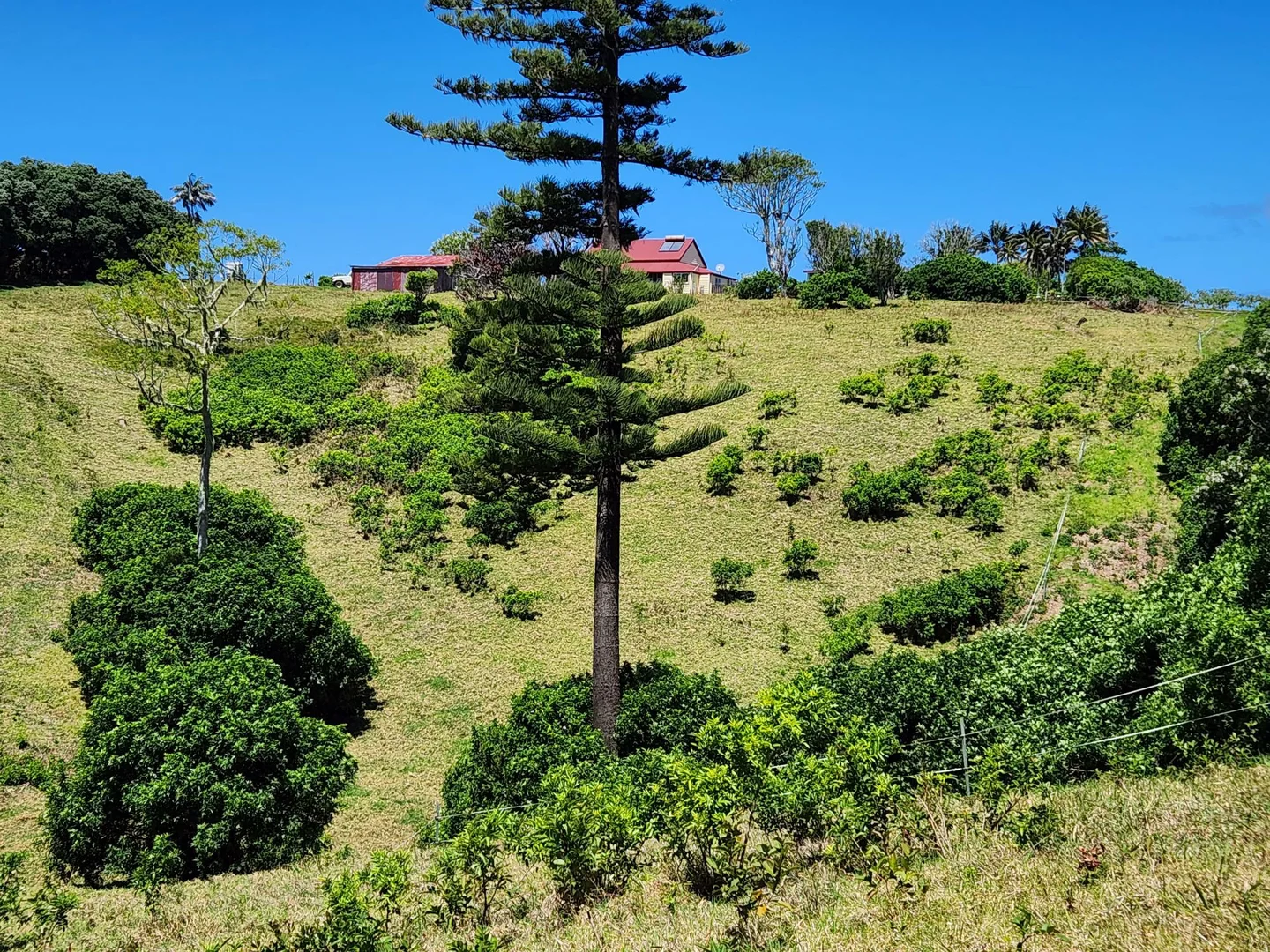 Additional image 5 of 36a10 Ferny Lane, Norfolk Island NSW 2899