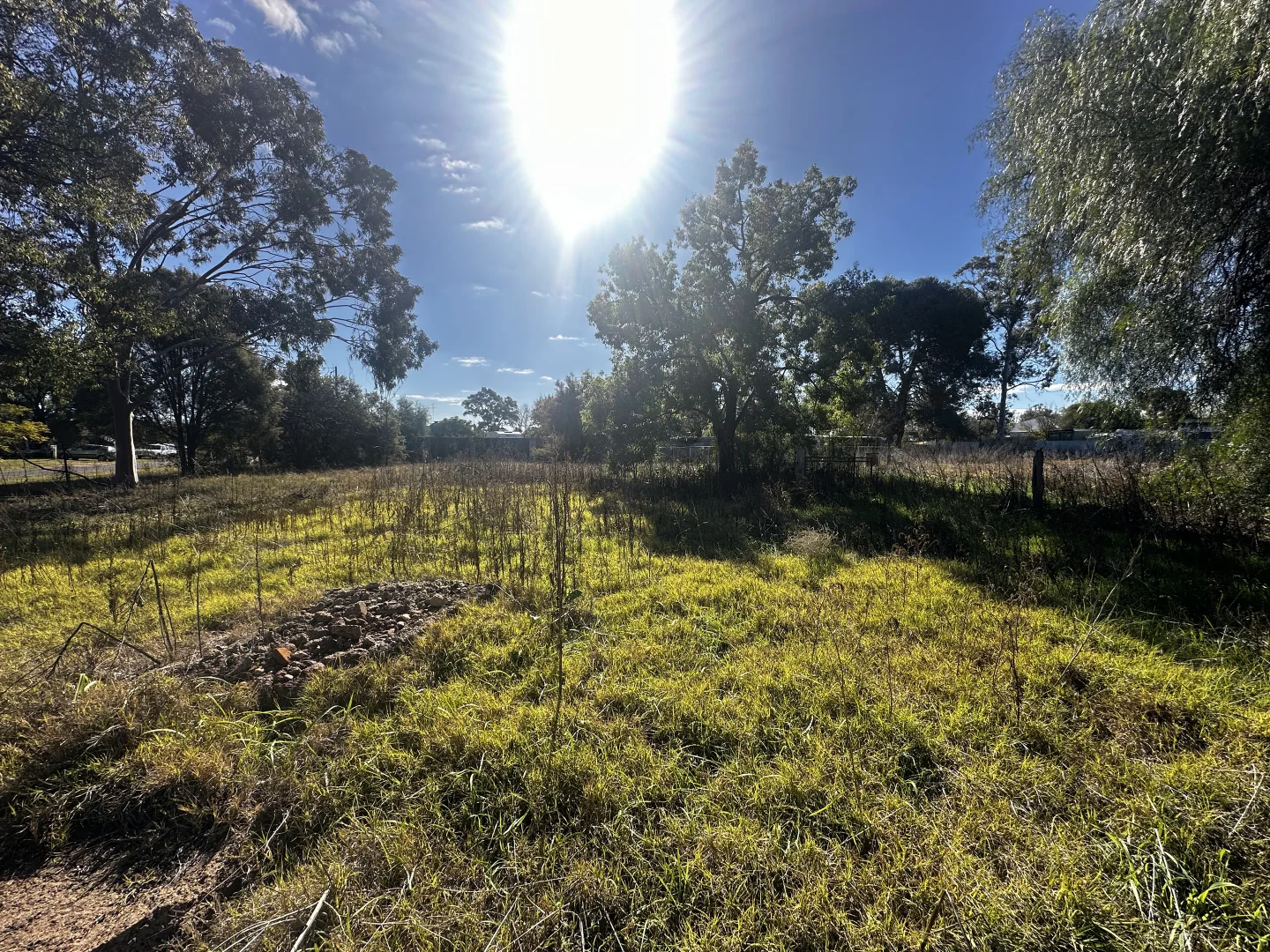 Additional image 2 of West Street, Trundle NSW 2875