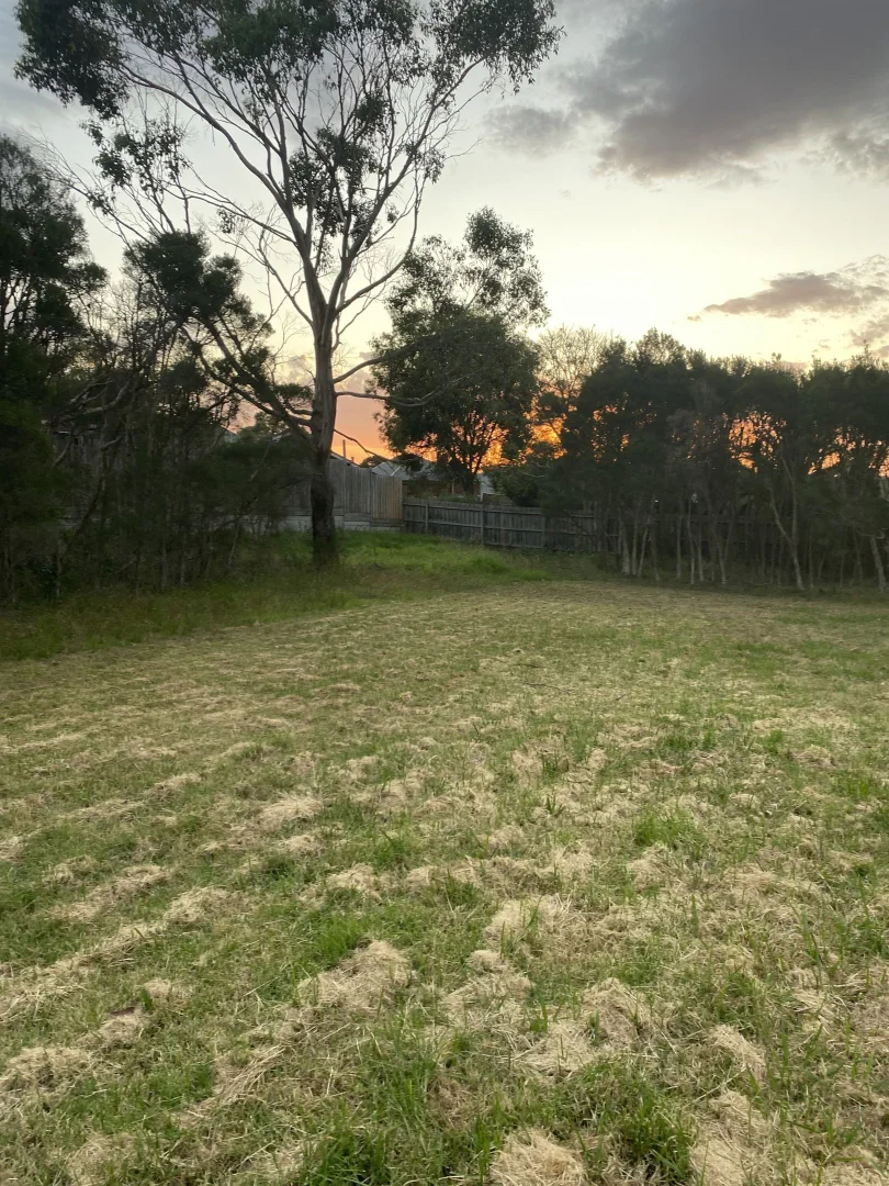 Additional image 3 of 89 Aqueduct Road, Langwarrin VIC 3910