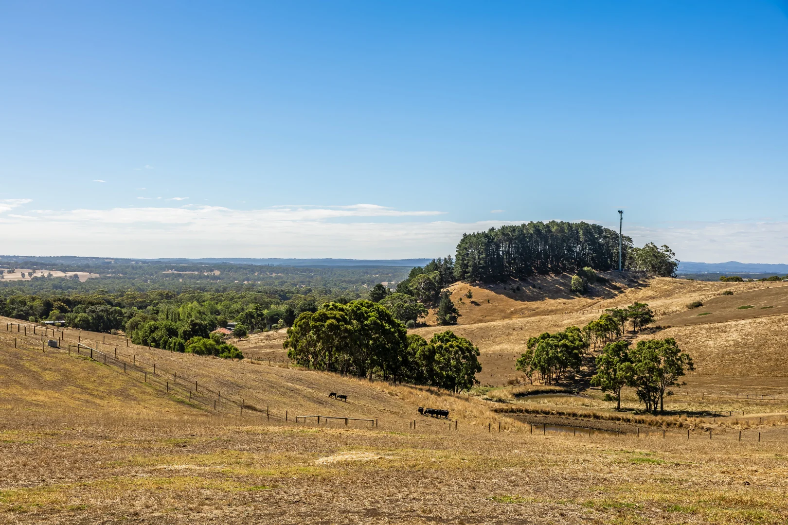 Additional image 74 of 224 Nicol Road, Meadows SA 5201