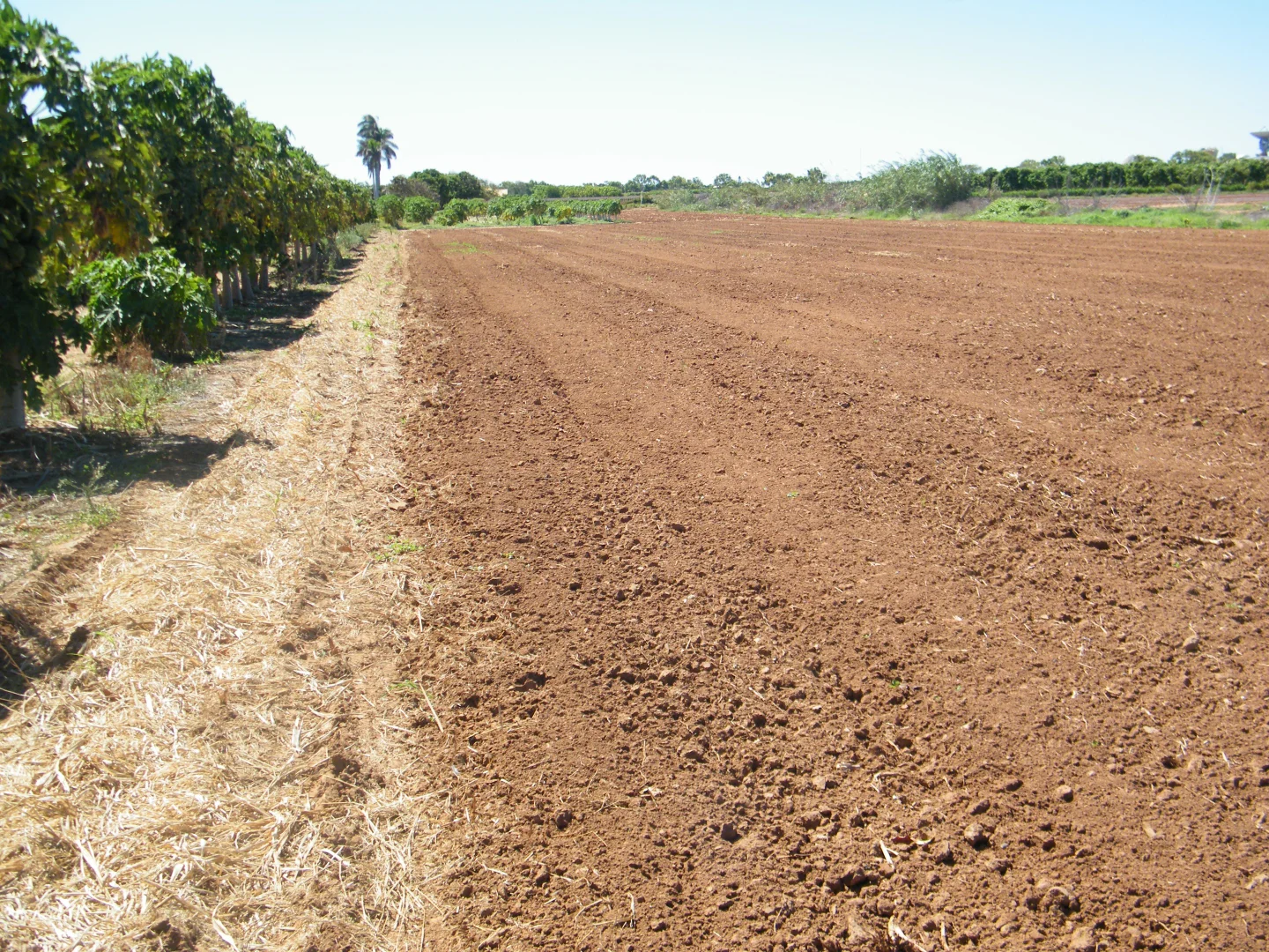 Additional image 10 of 270 Margaret Row, Carnarvon WA 6701