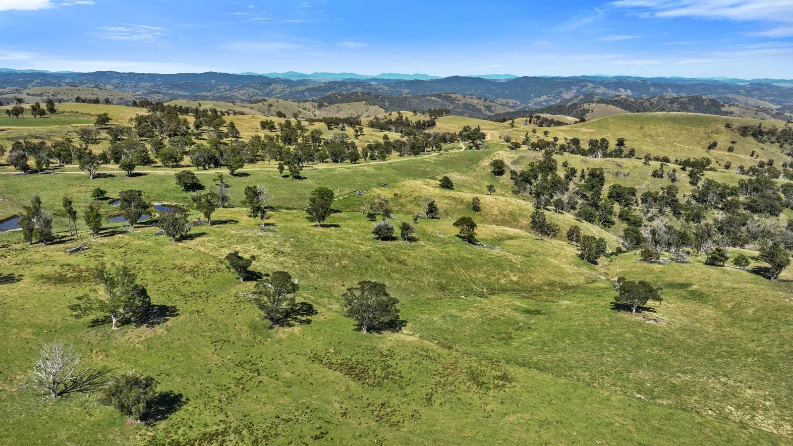 Additional image 3 of "Arawa" 2388 Campfire Road, Walcha NSW 2354