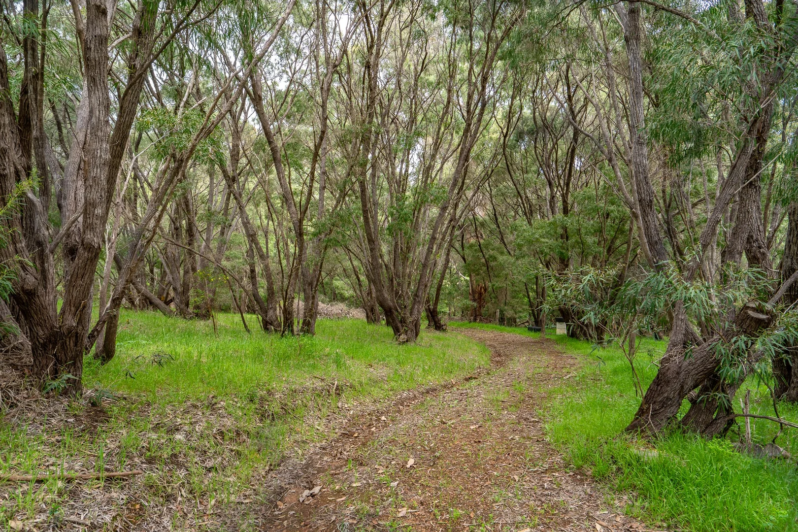 Additional image 9 of PL 602/169 Kevill Road, Margaret River WA 6285