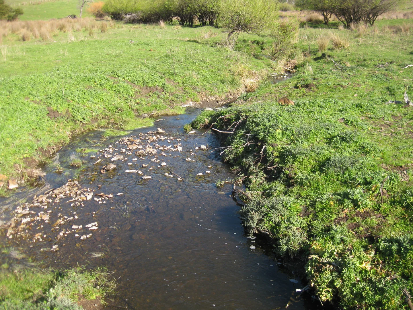 Additional image 11 of 8415 Lyell Highway, Ouse TAS 7140