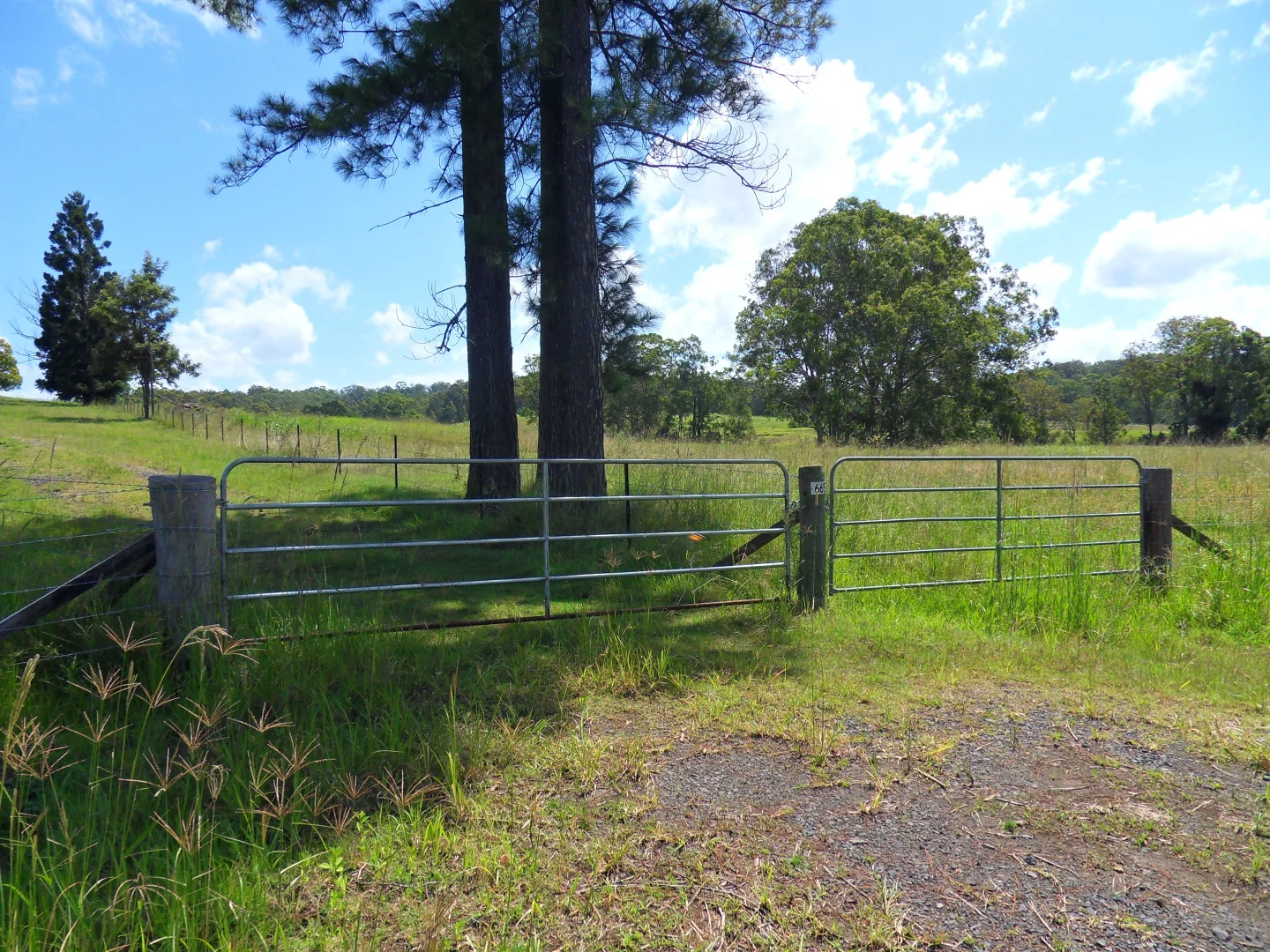 Additional image 25 of 665 Theresa Creek Road, Theresa Creek NSW 2469