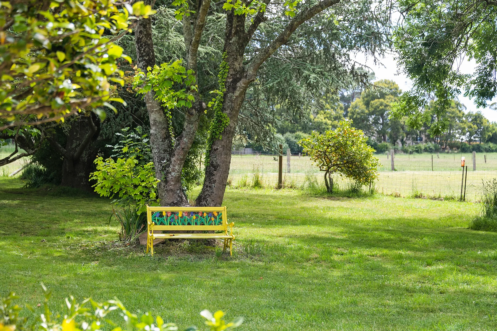 Additional image 16 of 85 Ringwood Road, Exeter NSW 2579