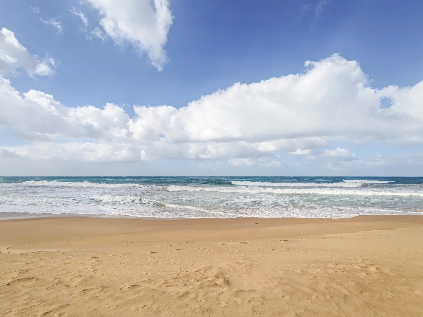 Additional image 5 of 19 Ellen Avenue, Seaspray VIC 3851