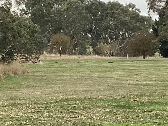 Additional image 2 of 1233 Waubra-Talbot Road, Evansford VIC 3371