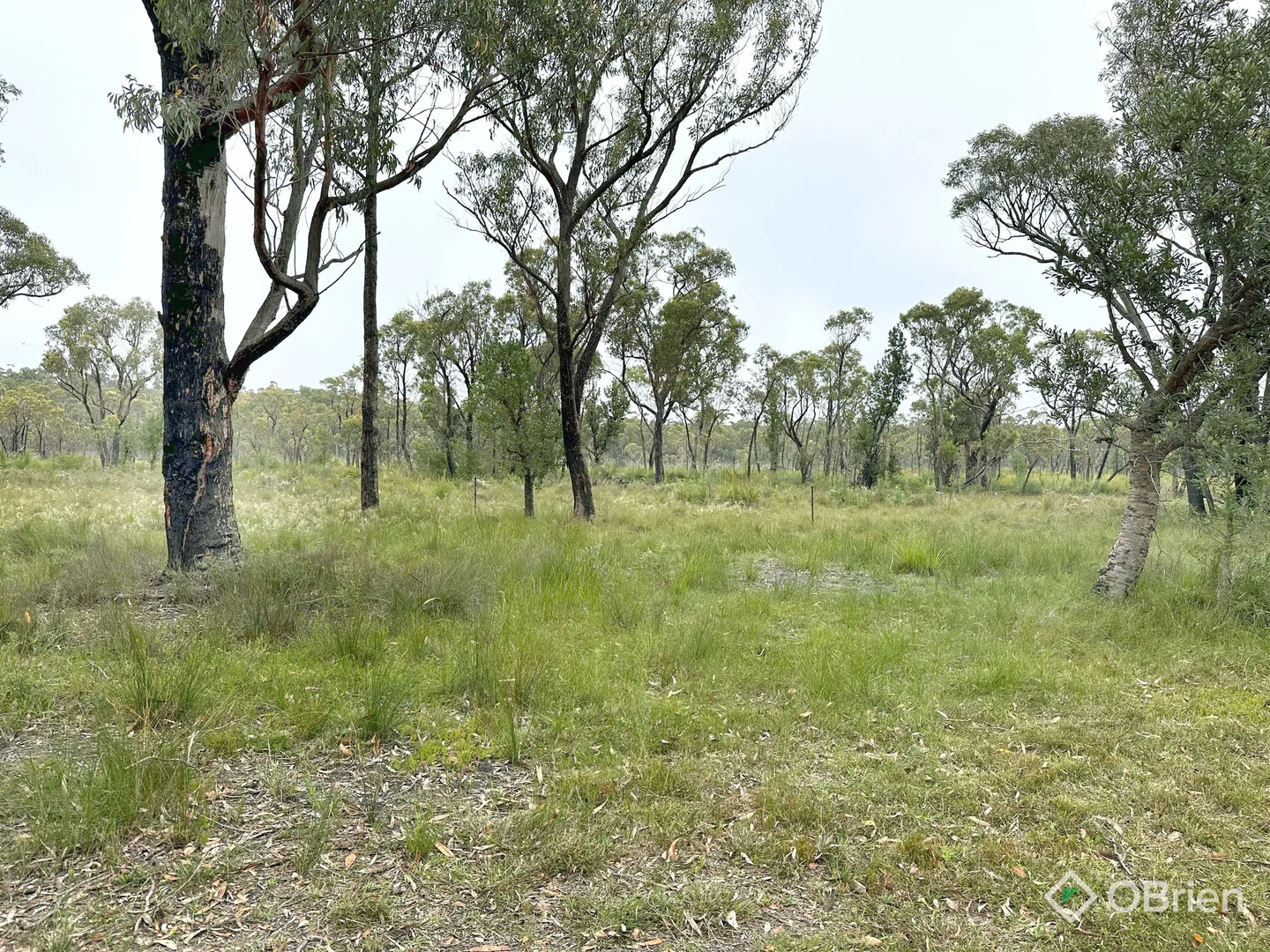 Additional image 8 of 726 Cabbage Tree-Conran Road, Marlo VIC 3888
