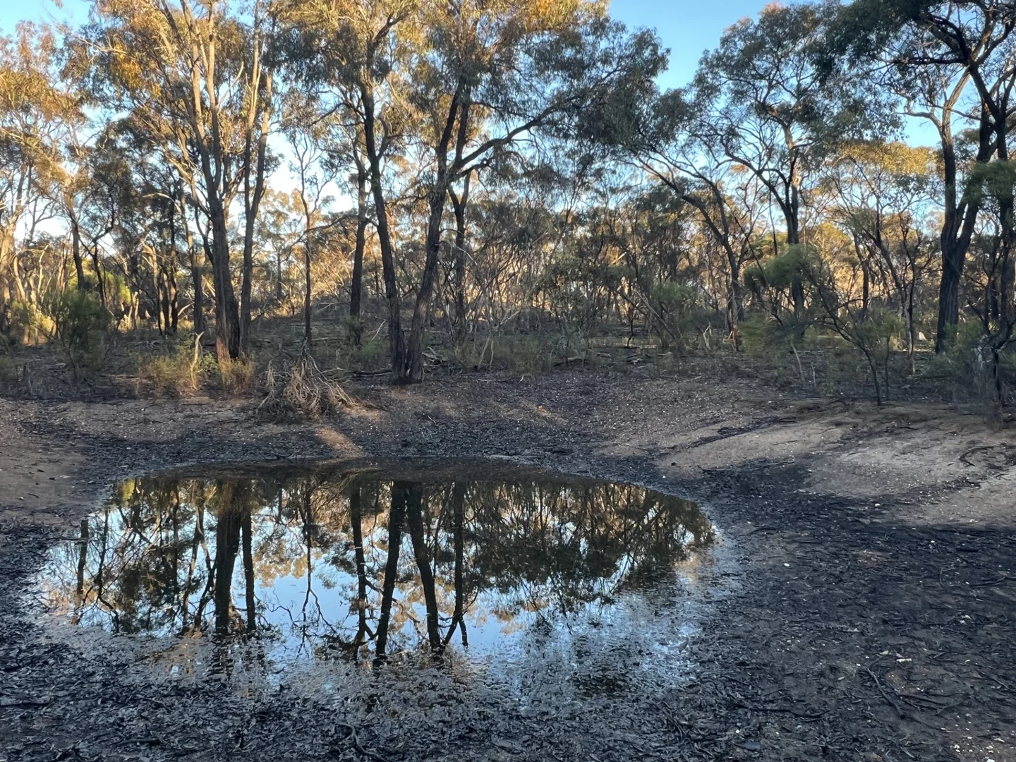 Additional image 5 of 373 Josephine Drive, Wedderburn VIC 3518
